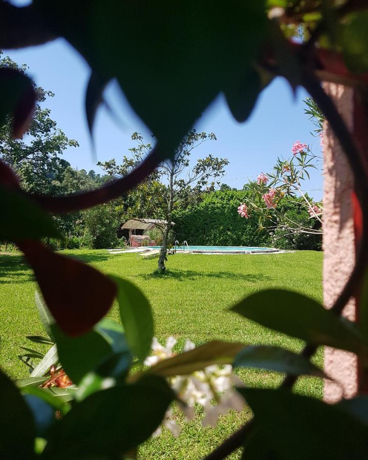 Villa Casa Pilar à Capannori Extérieur photo